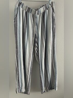 Briggs New York Vertical Stripe Pants